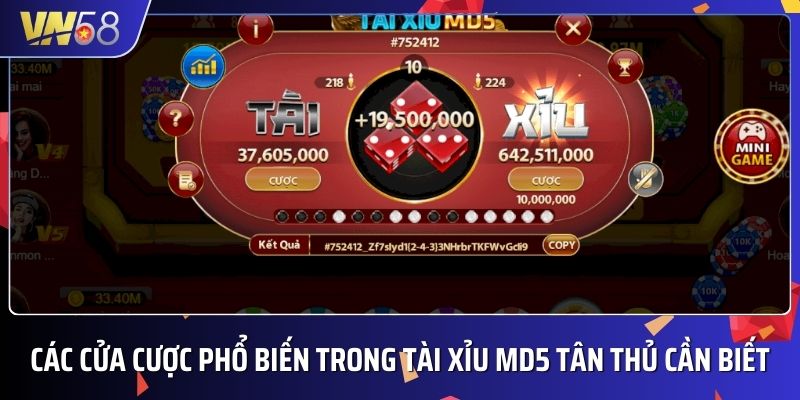Người chơi nên tìm hiểu về các cửa cược trong môn tài xỉu